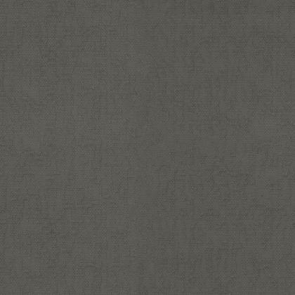 Fossile - GRIS