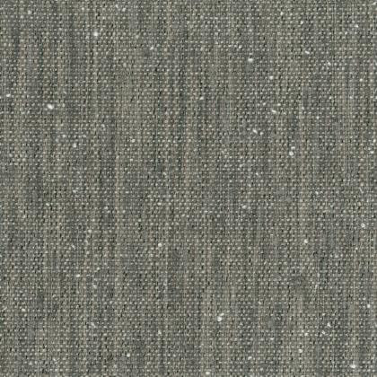 Tweed DÉcolorÉ - ROCHE MÉTAMORPHIQUE
