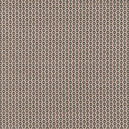 Broderie - TAUPE FIN