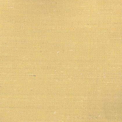 Carlo - PULCINO
