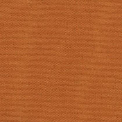 Carlo - ARANCIO