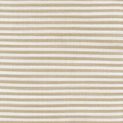 Tenstripe - BEIGE