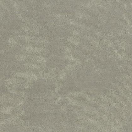 Aquarius - GRIGIO