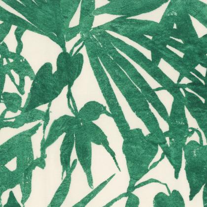 Home Jungle - GIUNGLA