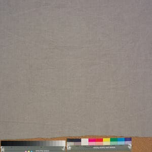 Oseille sauvage Image