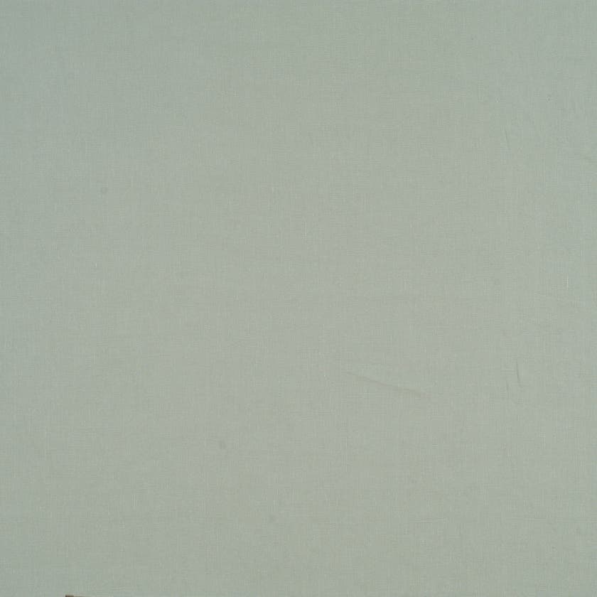 Oseille sauvage