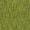 Tweed couleurs - Olive chartreuse