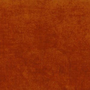 Shaggy Image