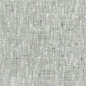 Tweed décoloré Image