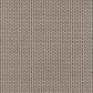 Broderie - Taupe fin
