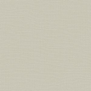 Wide nile Immagine