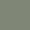 Papyrus - Alga
