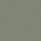 Papyrus - Alga