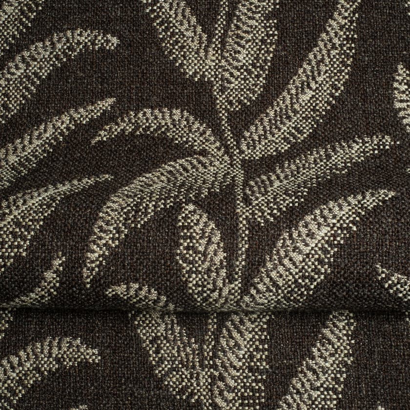 Fern