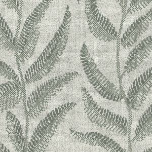 Fern Immagine