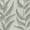 Fern - Lichene