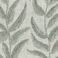 Fern - Lichene