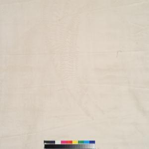 Lupo Image