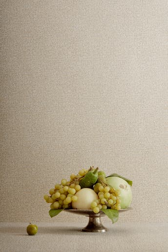 23005 - Foto 1