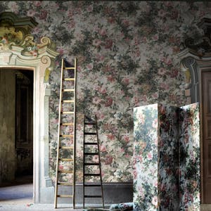 Lady roxana wall Lady roxana wall Immagine