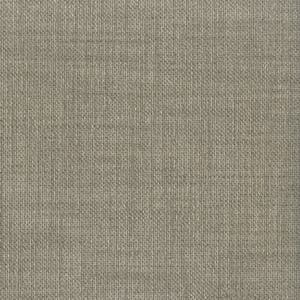 Tonga gold wall Immagine