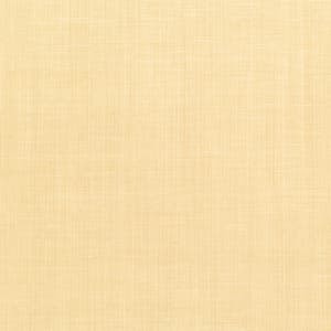 Borneo wall Immagine