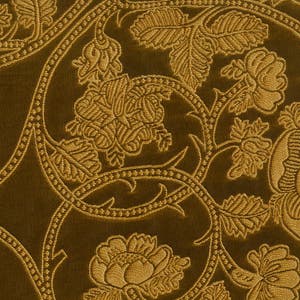 Poliphilo Poliphilo Immagine