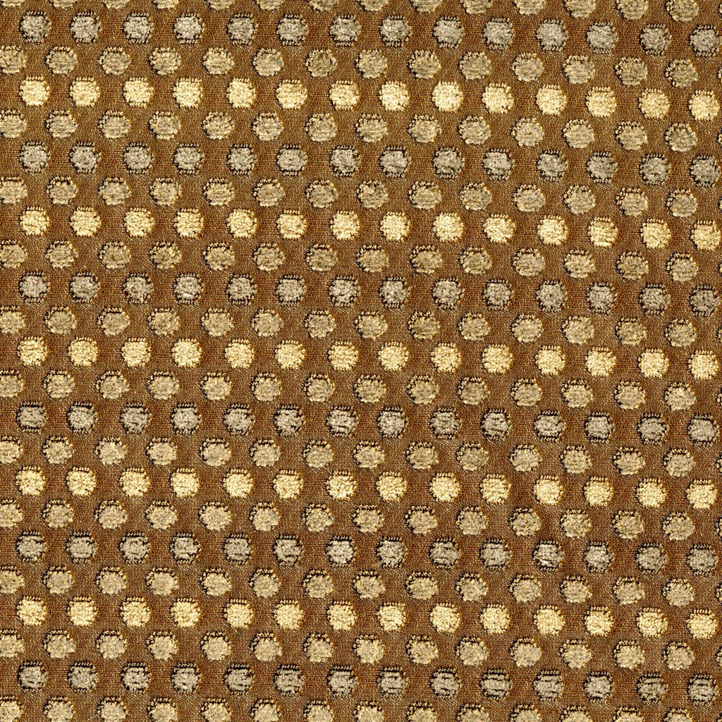 30005_1.jpg