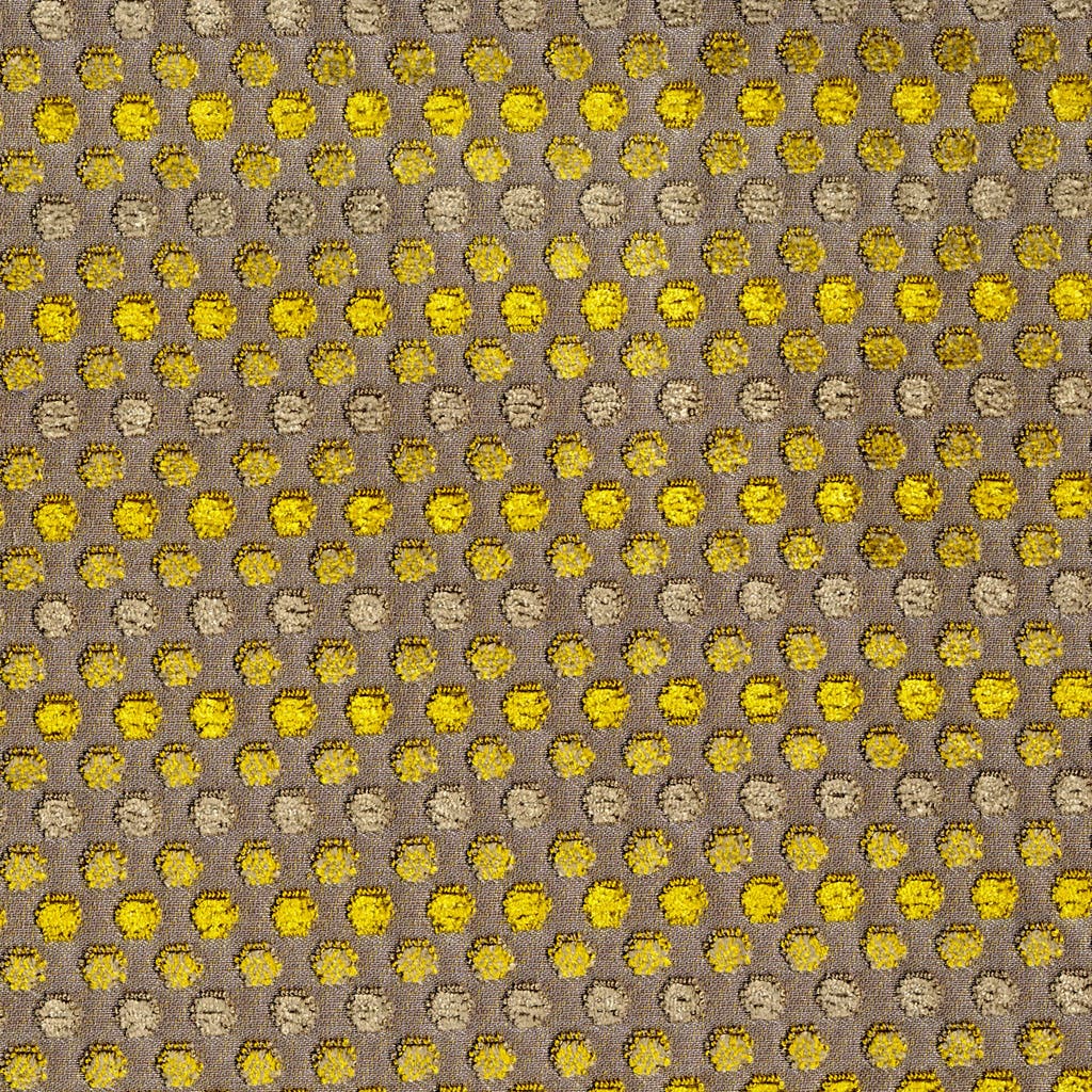 30005_5.jpg