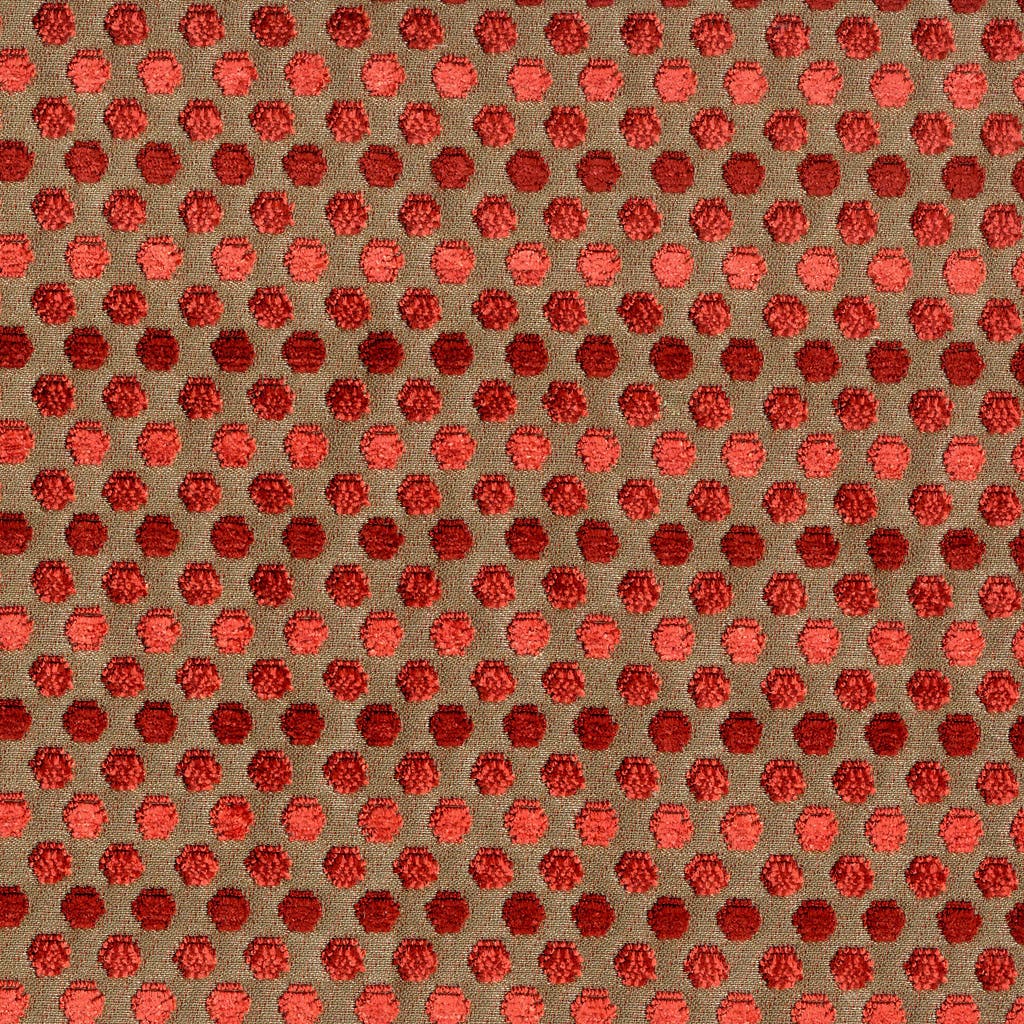 30005_6.jpg