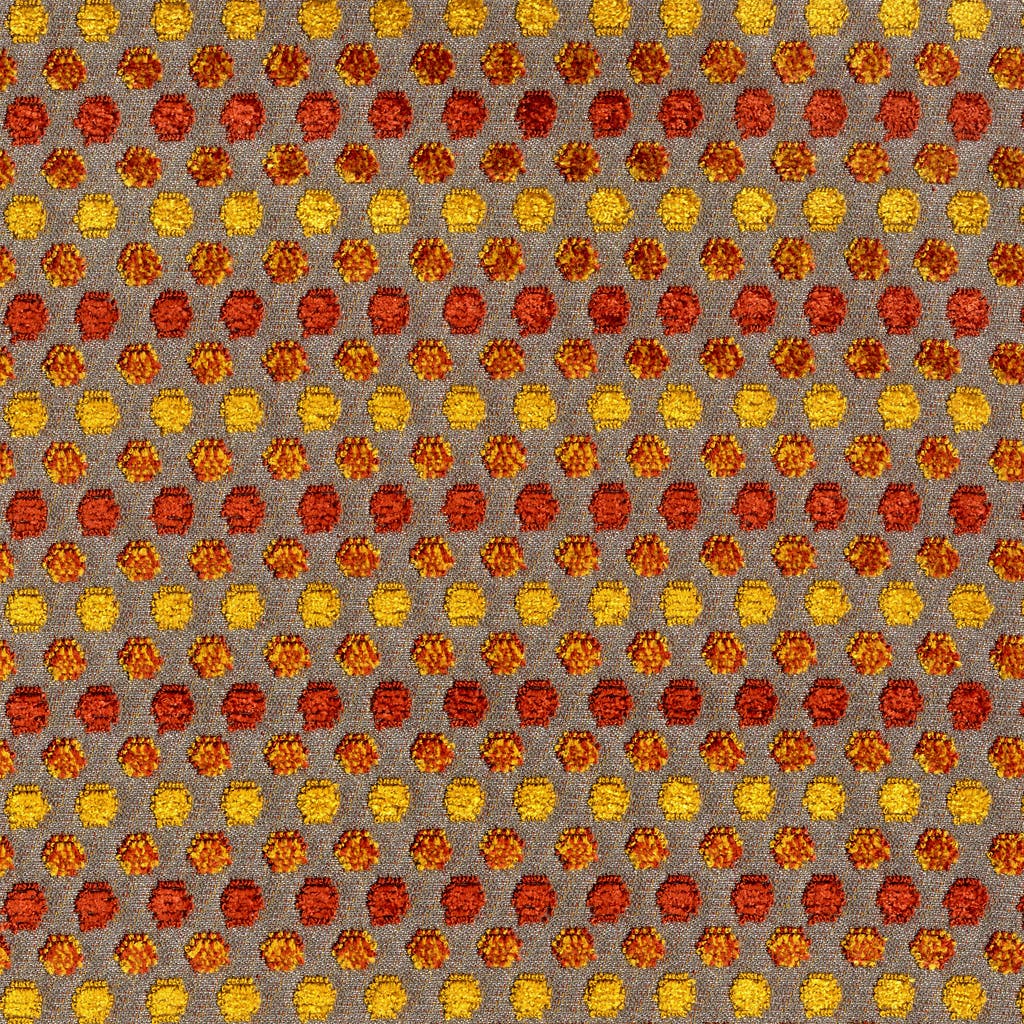 30005_7.jpg