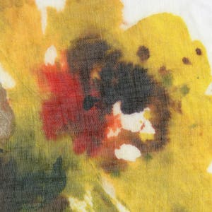 Morphise Image