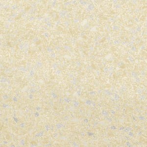 Terrazzo Image