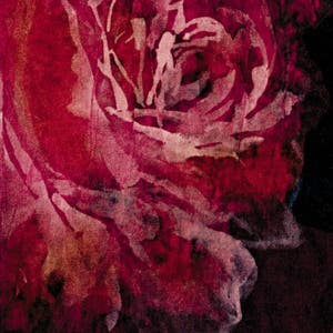 Mirafiore Image