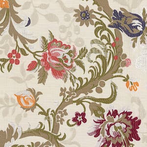 Dauphin Image