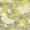 Funny girl - Chartreuse