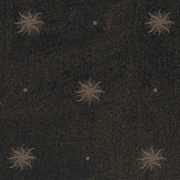 Festa