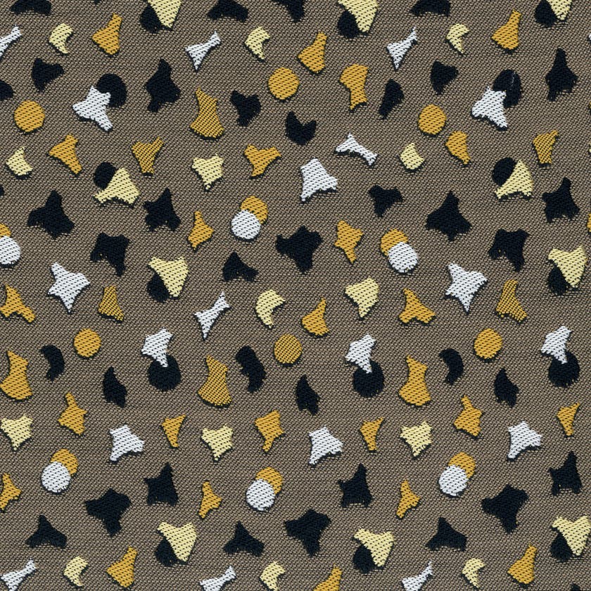 Coriandoli s