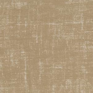 Shetland Image