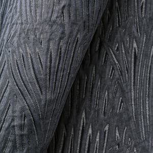 Lemongrass Immagine